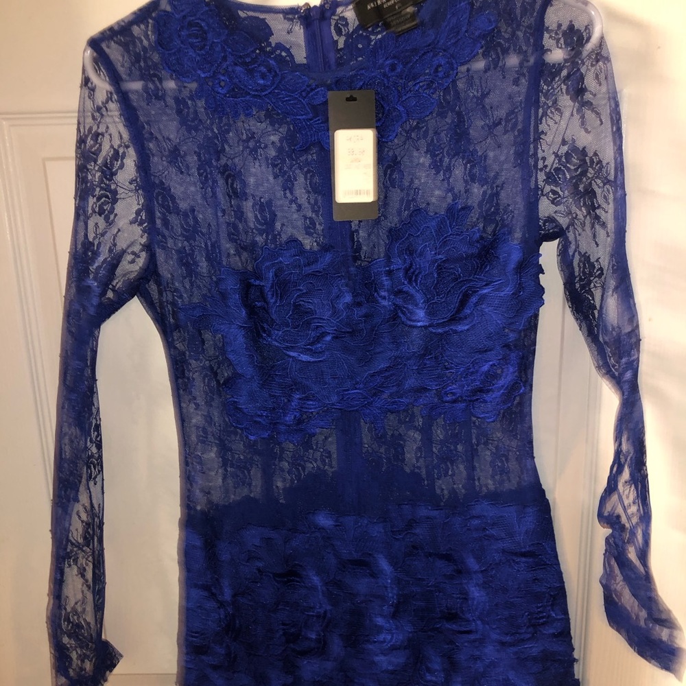 Mesh akira dress